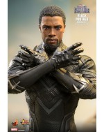 Hot Toys MMS671 1/6 Scale BLACK PANTHER (ORIGINAL SUIT)